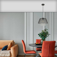 Потолочная люстра RITTER FERRARA 1xE27, хром 52533 2