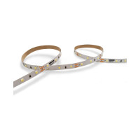 Светодиодная лента Wolta шириной 8 мм SMD2835, мощность 6Вт, 60 led/m, холодный белый свет 6500К, входное напряжение 12В, IP20, артикул WLS2835-6W/6500/12H60-01