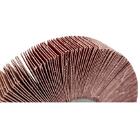 Круг лепестковый KK19XW (125х20 мм; М14; 12Н; Р100) БАЗ 960000086910