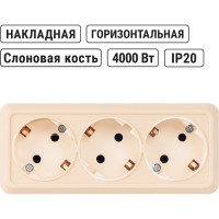 Горизонтальная 3-х местная розетка TDM ELECTRIC 2П+3 открытой установки IP20 16A слоновая кость Ладога SQ1801-0226