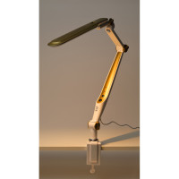 Настольный светодиодный светильник ЭРА NLED-496-12W-G на струбцине, золото Б0052769