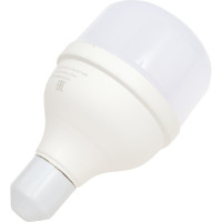 Универсальная высокомощная светодиодная лампа General Lighting Systems E27, энергоэффективная лампочка Цилиндр, световой поток 2300 лм (люмен), мощность 27 Вт, холодный белый 6500К 661017