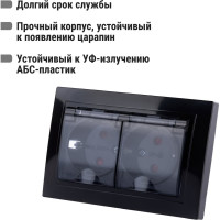 Двойная розетка TDM ELECTRIC 2П+З с защитными шторками и прозрачной крышкой 16А 250В IP44 антрацит Таймыр SQ1814-0877