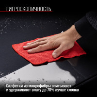 Салфетка SKYWAY набор микрофибра 20х20 см, в рулончиках, 10 шт. S03902010