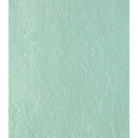 Декоративная штукатурка Paritet Гладкое покрытие №17 (шелк; мятный; 1 кг) PDLW-B17