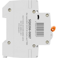 Автоматический выключатель ВА47-29 (2Р; 4 А; 4.5 кА; С) TDM ELECTRIC SQ0206-0087