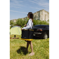 Сумка-холодильник Арктика 30 л 010-30 черная