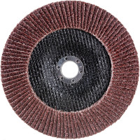 Круг лепестковый торцевой (180x22.2 мм; P25) MATRIX 74072