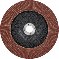 Круг лепестковый торцевой (180х22.23 мм; Р60) REDVERG 6624178