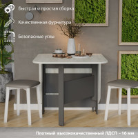 Стол-книжка ТриЯ Т1, антрацит, дуб крафт белый 215641