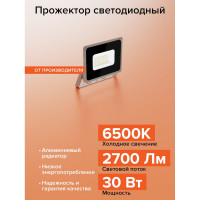 Светодиодный прожектор Wolta 30Вт 6500К Холодный белый свет, IP65, 2700Лм, серый WFL-30W/07