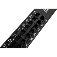 Телефонная патч-панель 19 , 50 портов RJ-45, категория 3, 1U, TWT-PP50TEL45