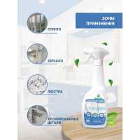 Средство для мытья стекол и зеркал BIOSOAP Glass cleaner 750мл 9150775