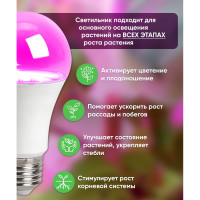 Cветодиодная лампа для растений FERON А60 LB-7060 E27, 15W, красно-синий спектр 38276