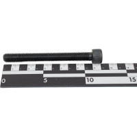 Винт ЦКИ DIN912 М12х110, 12.9 ОКС 25 шт. 50518