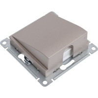 Вывод кабеля Systeme Electric AtlasDesign Шампань механизм SE ATN000599