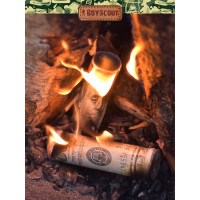 Доллары для розжига мангалов, барбекю, каминов и печей BOYSCOUT 3 шт 61601