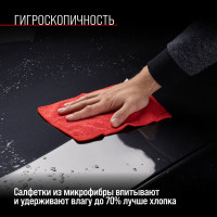 Салфетка SKYWAY набор микрофибра 20х20 см, прямоугольники, 10 шт. S03902011
