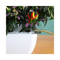 Гидропонная плантация на 12 мест с автополивом и умной подсветкой Green Helper GZ206