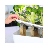 Гидропонная плантация на 12 мест с автополивом и умной подсветкой Green Helper GZ206