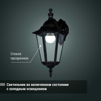 Светильник уличный шестигранник TDM ELECTRIC, 100Вт, вниз, бронза SQ0330-0017
