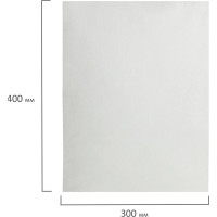 Одноразовая белая салфетка ЧИСТОВЬЕ в рулоне 100 шт, 30x40 см, спанлейс 40 г/м2 631060