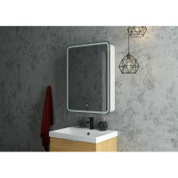 Зеркало-шкаф с подсветкой Art&Max PLATINO AM-Pla-550-800-1D-L-DS-F