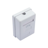 Розетка информационная RJ45 кат.5е UTP ITK 1-порт настенная бел. CS2-1C5EU-12