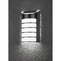Фасадная подсветка на солнечной батарее ЭРА ERAFS02440 Сталь 5LED, 1 Б0044254