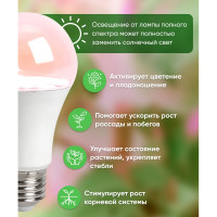 Светодиодная лампа для растений FERON A60 LB-7062 E27 12W полный спектр 38277