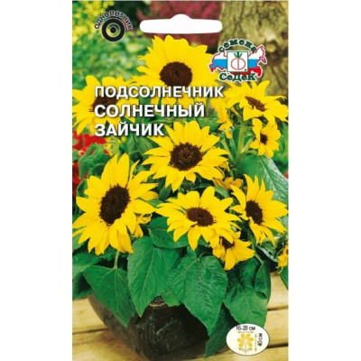 Подсолнечник семена СеДек Солнечный зайчик 00000013606