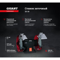 Gigant Professional Станок заточный ZS-20 200Вт, 2950 об/мин, диаметр круга 125мм GP-200