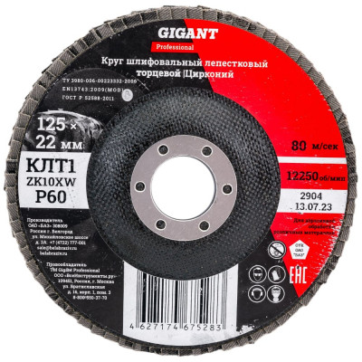 Gigant Professional Круг лепестковый 125?22,2 мм; P60; цирконий GNT-P60