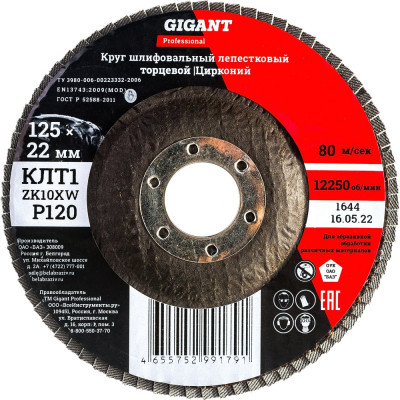 Gigant Professional Круг лепестковый 125?22,2 мм; P120; цирконий GNT-P120