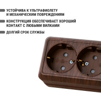 Двойная розетка открытой установки с защитными шторками 2П+З IP20 16А, бук TDM ELECTRIC Ладога SQ1801-0040