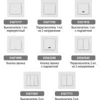 Мультифункциональный блок TDM ELECTRIC Сенеж 1, 2П 10А 250В+2 USВ-порта для зарядки 5В 2,1А, белый SQ1816-0001