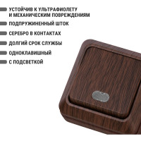 Одноклавишный выключатель TDM ELECTRIC открытой установки с подсветкой, бук Ладога SQ1801-0031