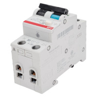 Автоматический выключатель дифференциального тока ABB DS201 C25 AC30 2CSR255080R1254