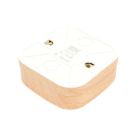 1-ая розетка IEK РС20-2-ХС без з/к о/у 10А GLORY сосна ERH10-K34-10