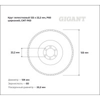 Круг лепестковый Professional 125х22.2 мм, P60, цирконий Gigant GNT-P60