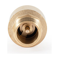 Обратный клапан PROFACTOR с латунным штоком, для насосов в/н 1" PF CV 242FM