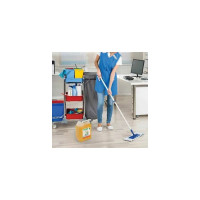 Средство для мытья пола, стен и поверхностей LAIMA EXPERT c дезинфекцией, биоразлагаемое, 5 л 607761