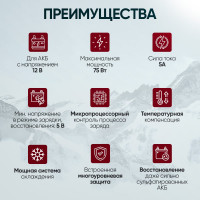 Импульсное зарядное устройство iCarTool 12В с функцией восстановления IC-CH101