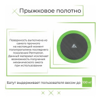 Батут с сеткой DFC Trampoline Fitness 8FT-TR-LG