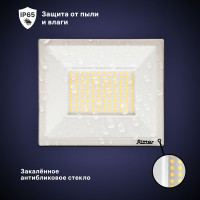 Светодиодный прожектор RITTER серия PROFI 230В 100 Вт 4000К 10000Лм IP65 черный 53419 2