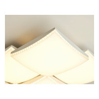 Накладной светильник Ambrella Light Parus FP2326