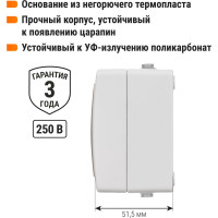 Блок комбинированный TDM ELECTRIC горизонтальный выключатель 2-кл. + розетка 2П+З с з/ш БКВР IP54 "Вуокса" SQ1803-0012