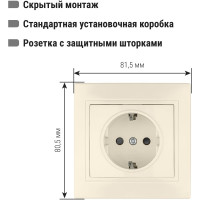Розетка с защитными шторками, слоновая кость 2П+З 16А 250В TDM ELECTRIC Таймыр SQ1814-0116