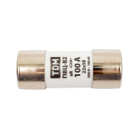 Плавкая вставка TDM ELECTRIC ПВЦ-B2 22х58 aR быстродействующая 100А SQ0729-0062