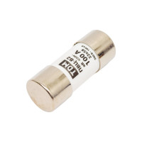 Плавкая вставка TDM ELECTRIC ПВЦ-B2 22х58 aR быстродействующая 100А SQ0729-0062